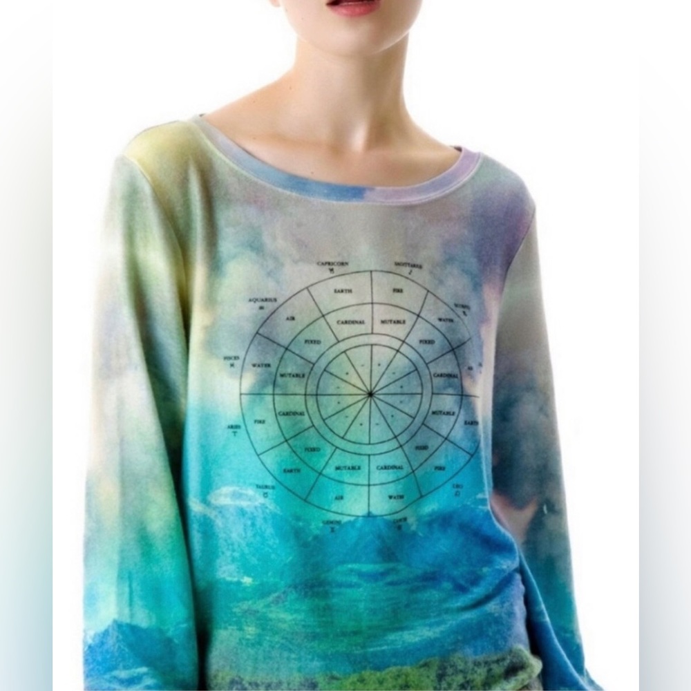 WILDFOX 💋🦊 Rare & Coveted Rainbow Ombré Zodiac SWEATSHIRT